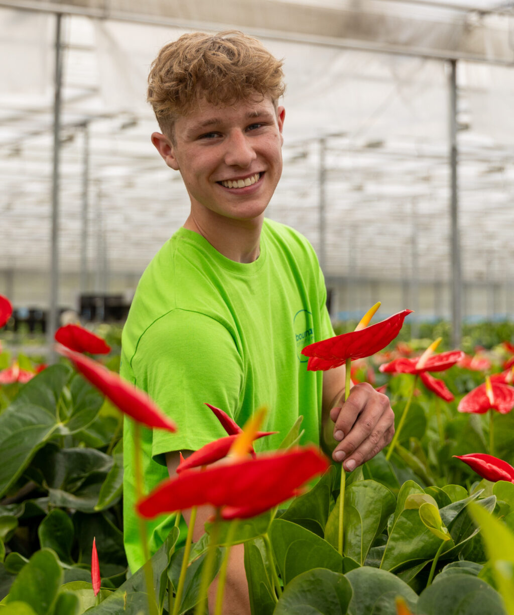 Allround medewerker